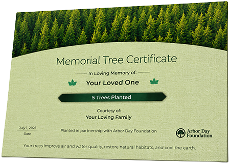 Plant Trees in Memory of Mr. Edward Earl Baylor
